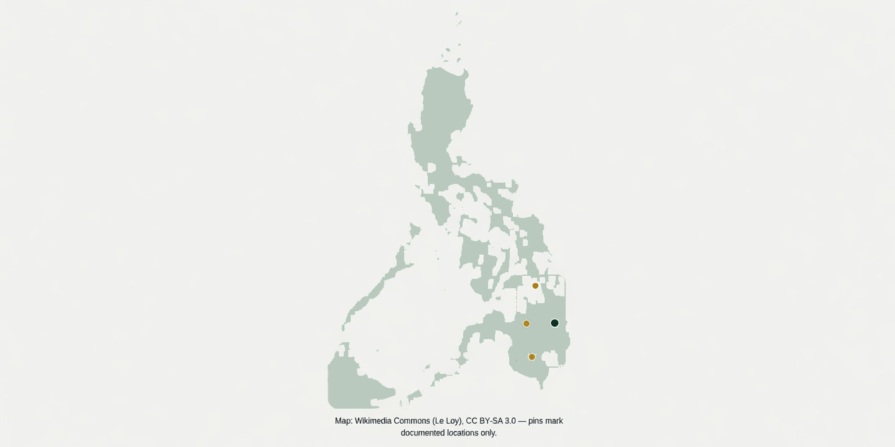 Philippine coverage map with Bislig origin and Mindanao hubs